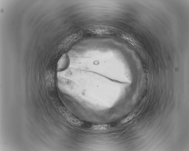 X0000059080461200510281728