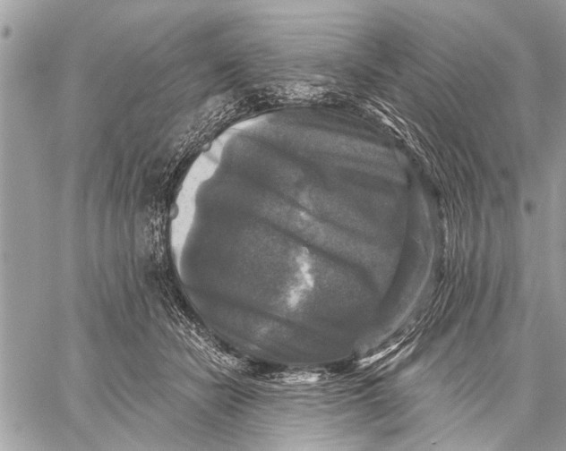 X0000059080462200510281728