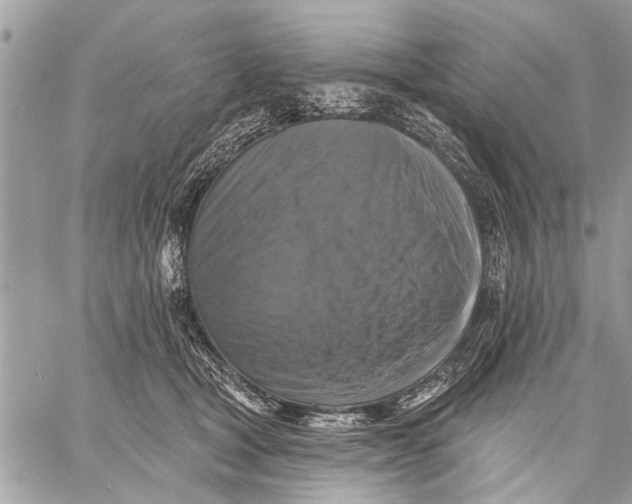 X0000059080465200510281728