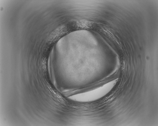 X0000059080466200510281728