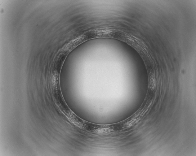 X0000059080468200510281728