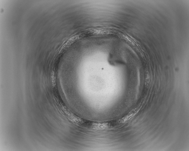 X0000059080469200510281728