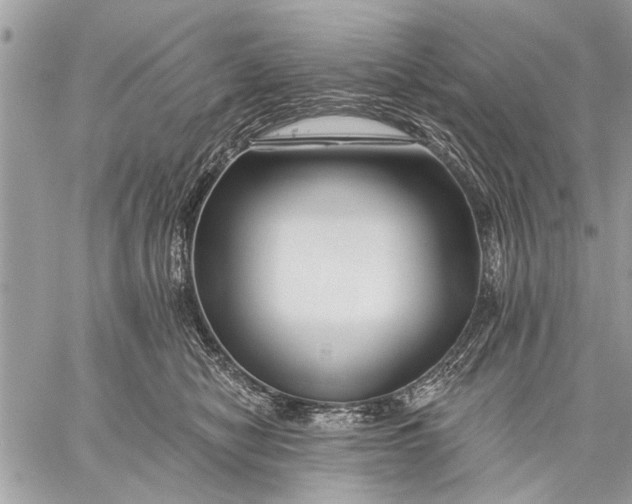 X0000059080470200510281728