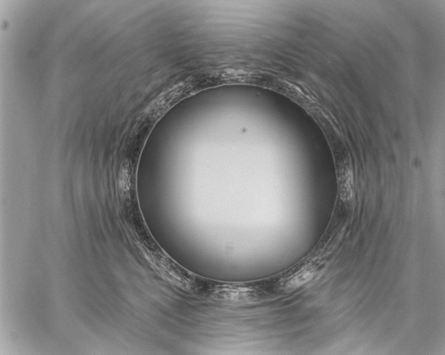 X0000059080472200510281728