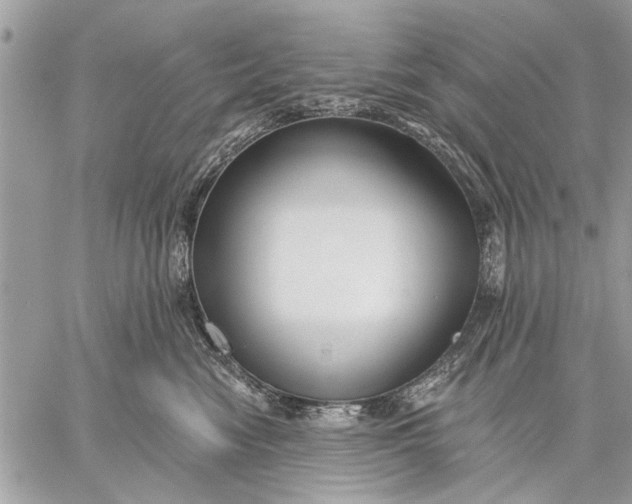 X0000059080474200510281728