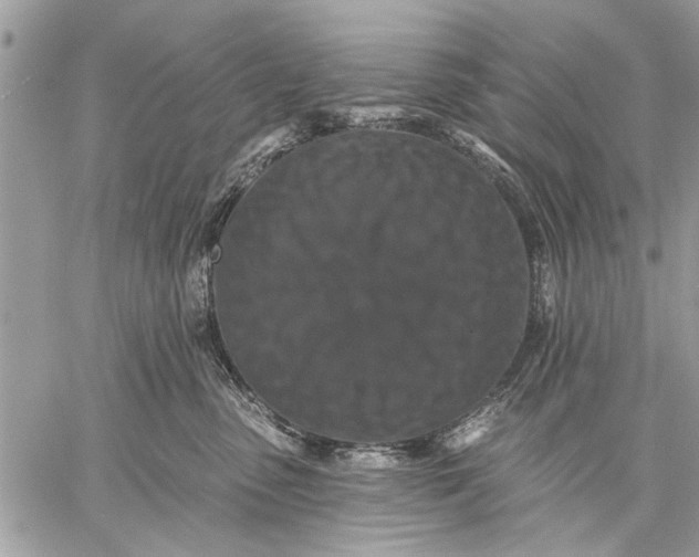 X0000059080475200510281728