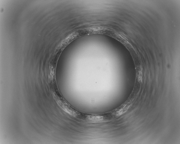 X0000059080476200510281728