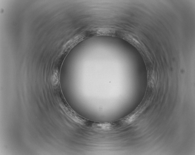 X0000059080478200510281728