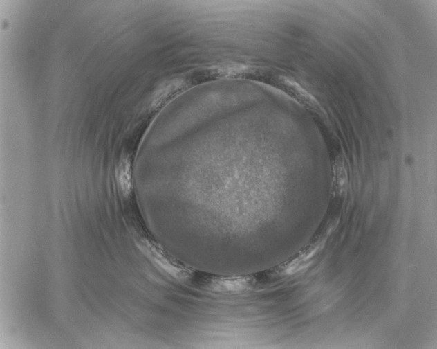 X0000059080479200510281728