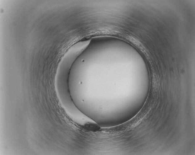 X0000059080481200510281727