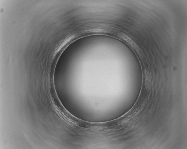 X0000059080482200510281727