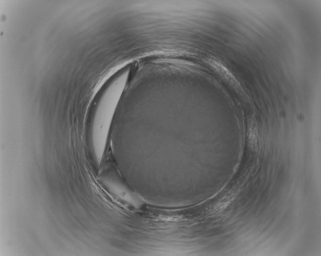 X0000059080484200510281727