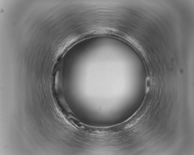 X0000059080485200510281727