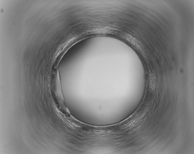 X0000059080486200510281727