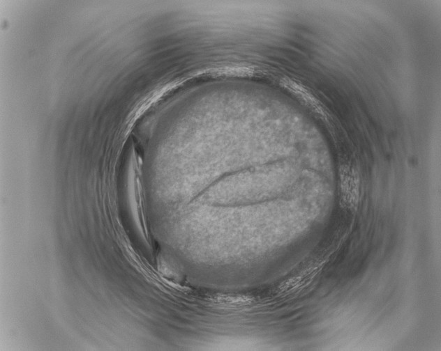 X0000059080487200510281727