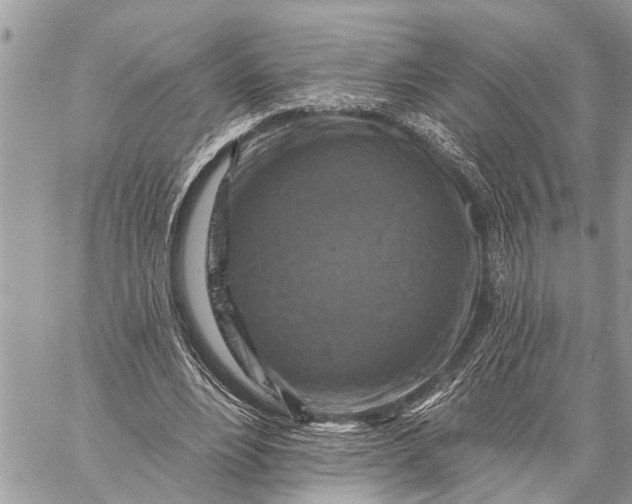 X0000059080488200510281727