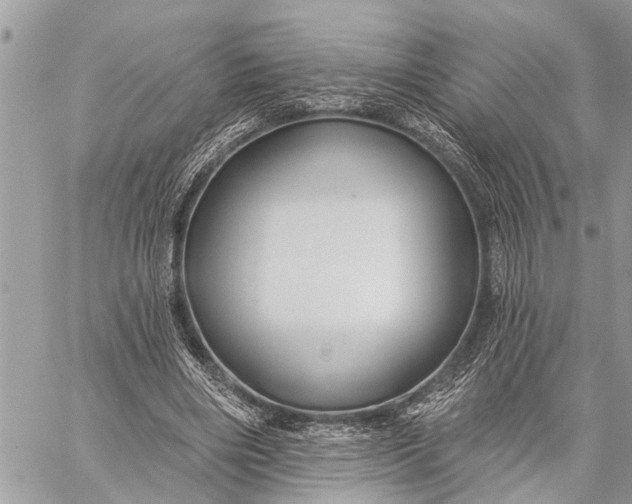 X0000059080490200510281727