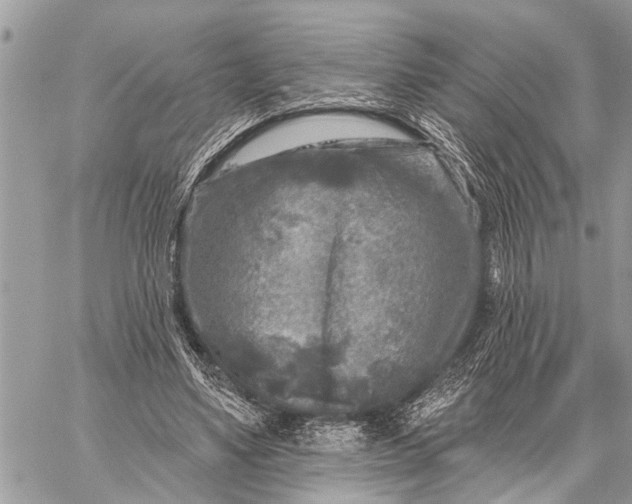 X0000059080491200510281727