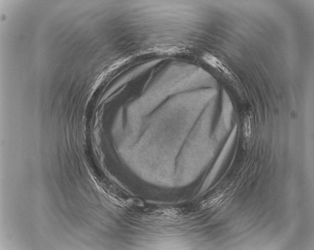 X0000059080492200510281727