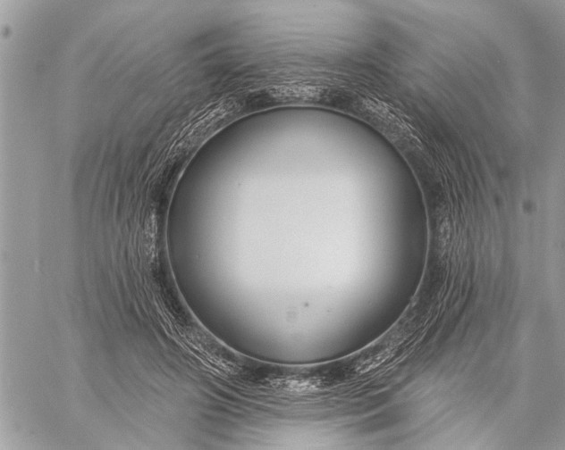 X0000059080498200510281727