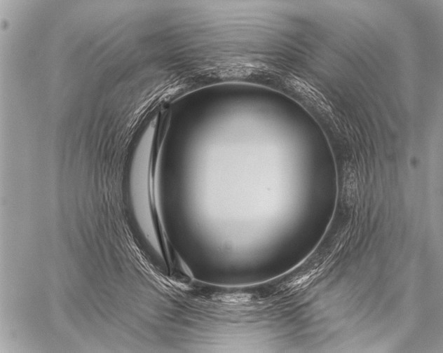 X0000059080501200510281727