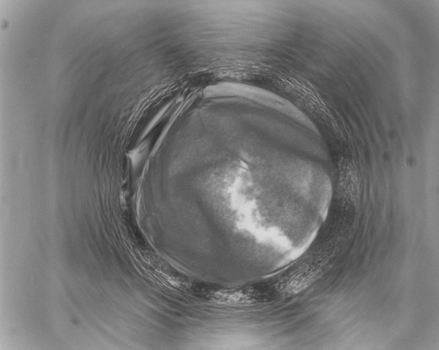 X0000059080502200510281727