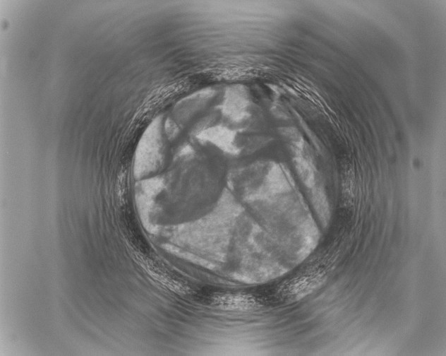 X0000059080503200510281727