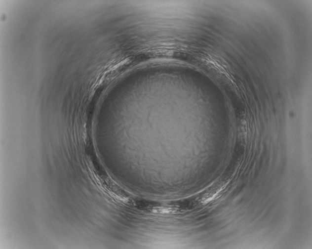 X0000059080504200510281727