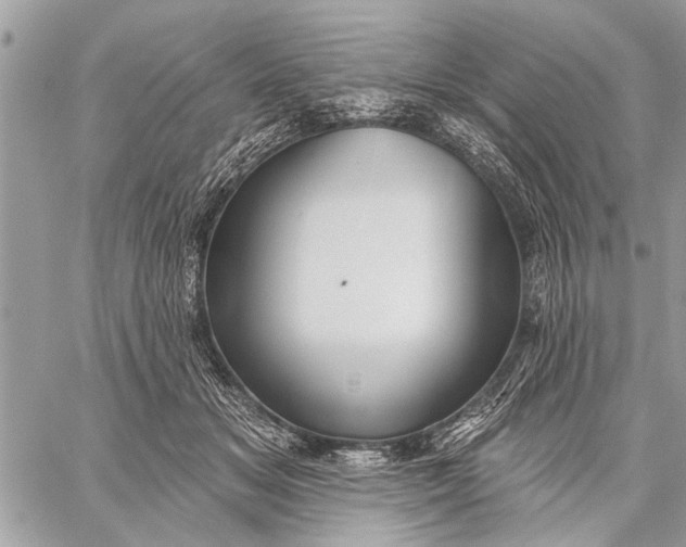 X0000059080509200510281727