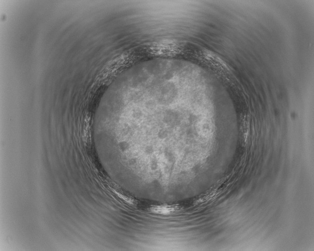 X0000059080511200510281727