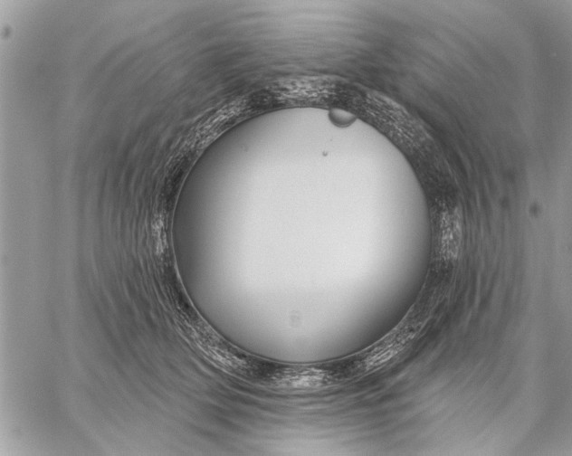 X0000059080514200510281727