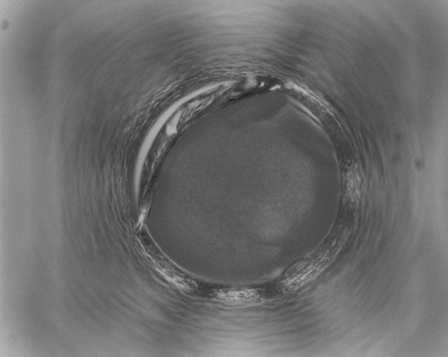 X0000059080517200510281727