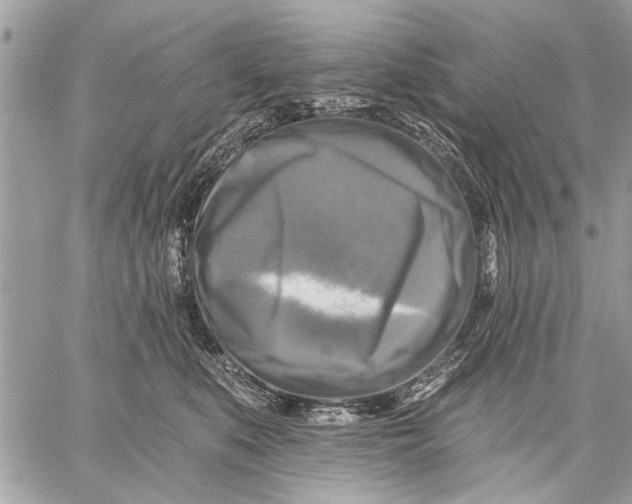 X0000059080519200510281727