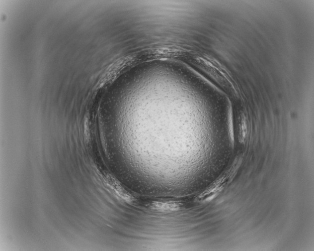 X0000059080520200510281727