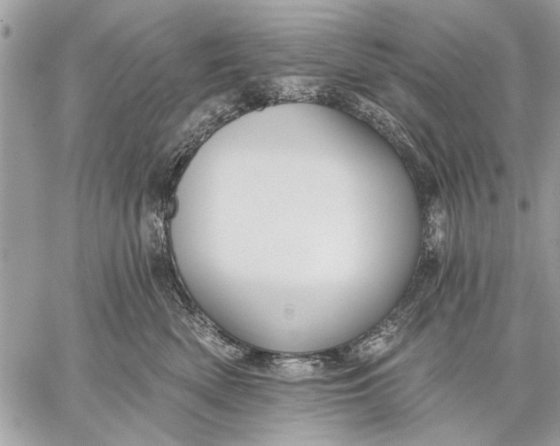 X0000059080522200510281727