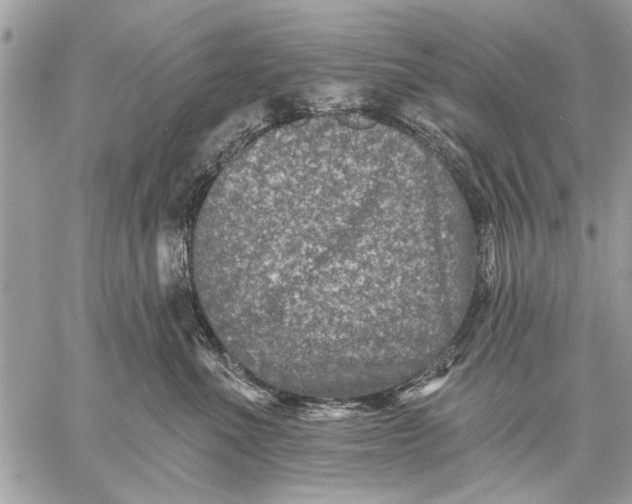 X0000059080523200510281727