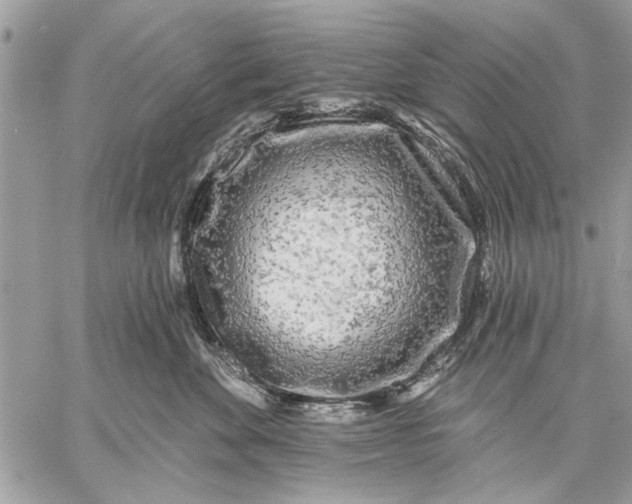 X0000059080524200510281727