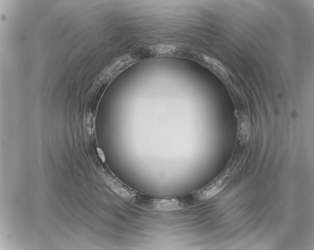 X0000059080525200510281727