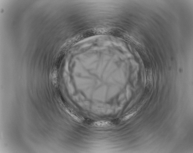 X0000059080526200510281727