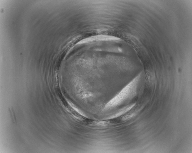 X0000059080527200510281726