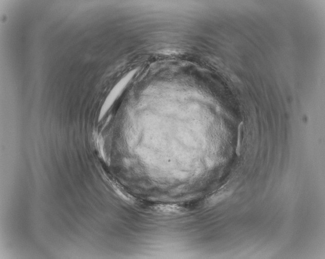 X0000059080528200510281726