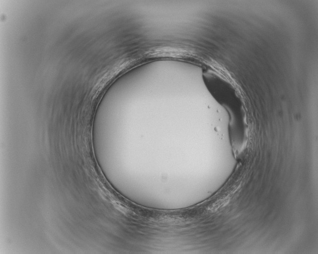 X0000059080529200510281726