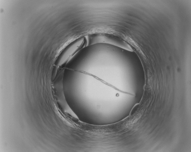 X0000059080530200510281726