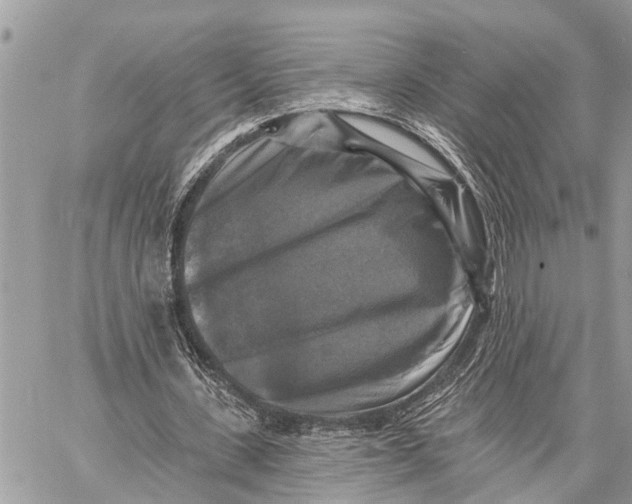 X0000059080531200510281726