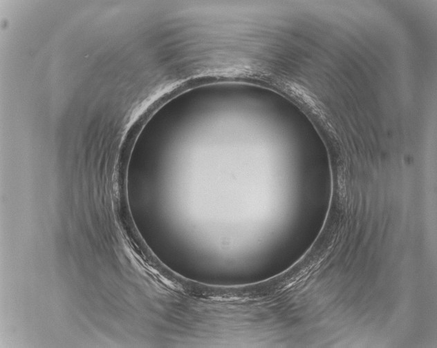 X0000059080532200510281726