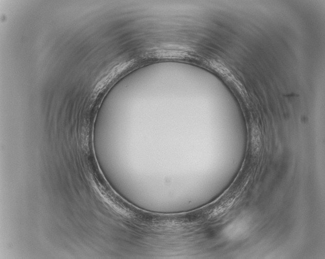 X0000059080533200510281726