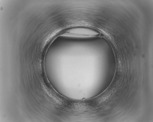 X0000059080535200510281726