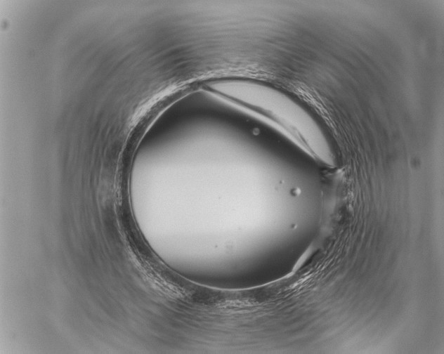 X0000059080536200510281726