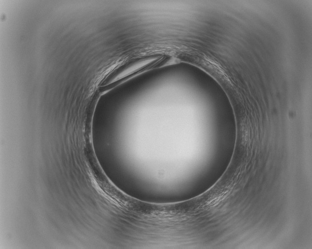 X0000059080538200510281726