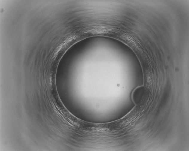 X0000059080539200510281726